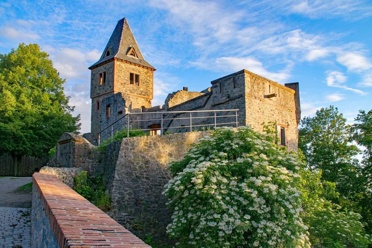 Německo-Velmi starý hrad Frankenstein skládačky online