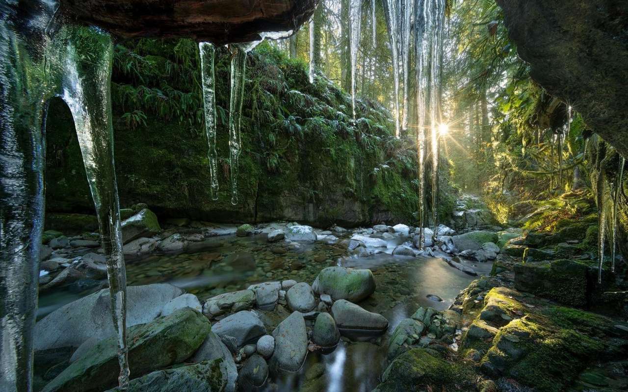 British Columbia - Eiszapfen im Regenwald Online-Puzzle