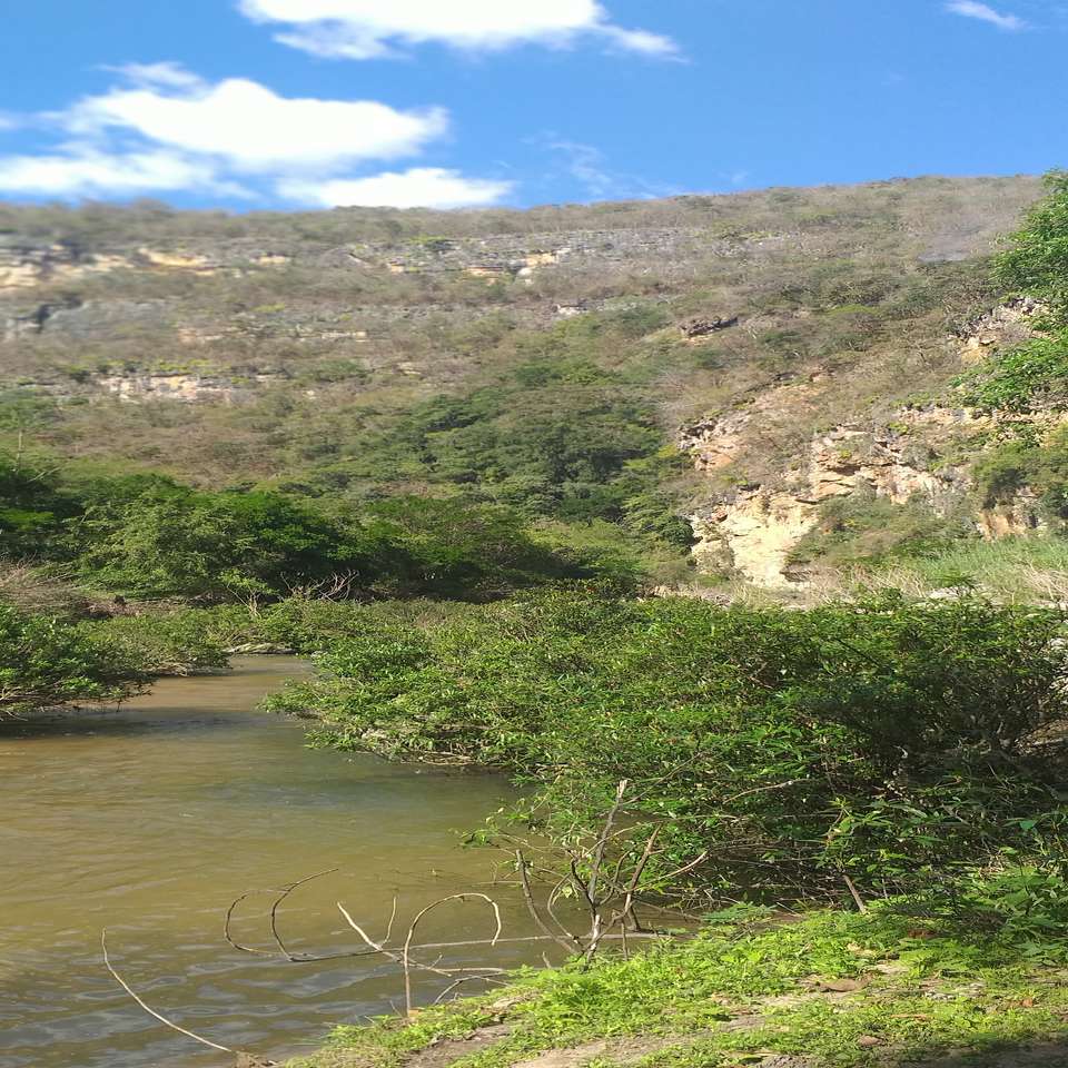 CHIAPAS, EVENING ON THE LA VENTA RIVER online puzzle