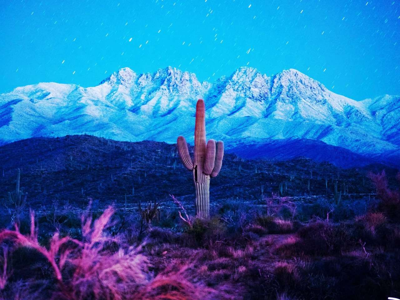 Arizona - drăguț cactus cu degetul salut puzzle online