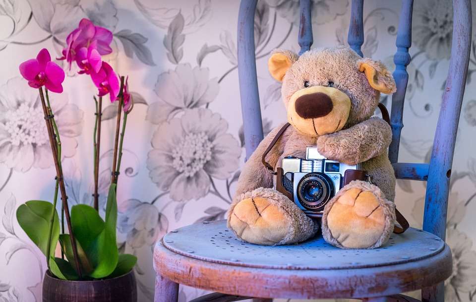 Fotograaf van een teddybeer online puzzel
