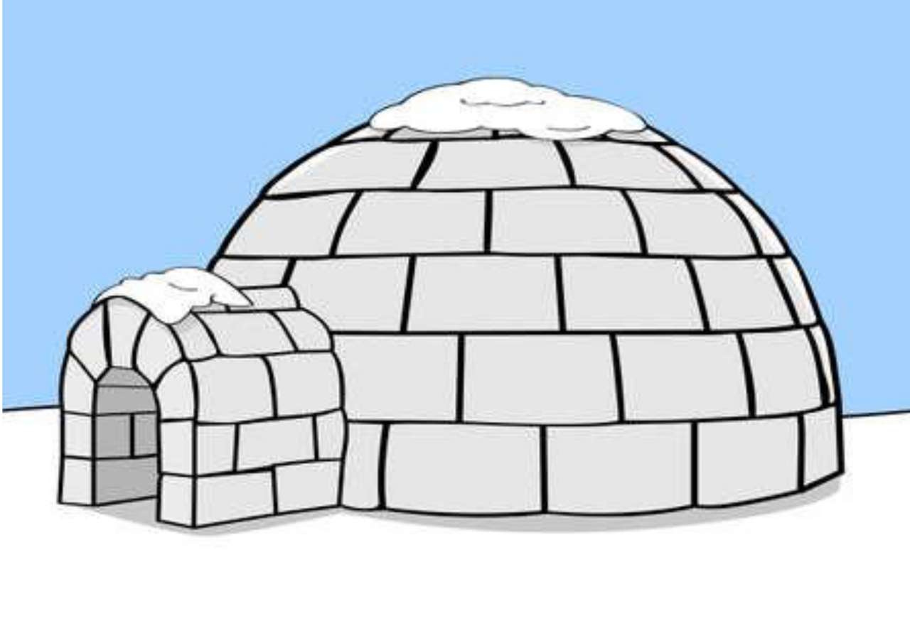 enigma dell'igloo puzzle online