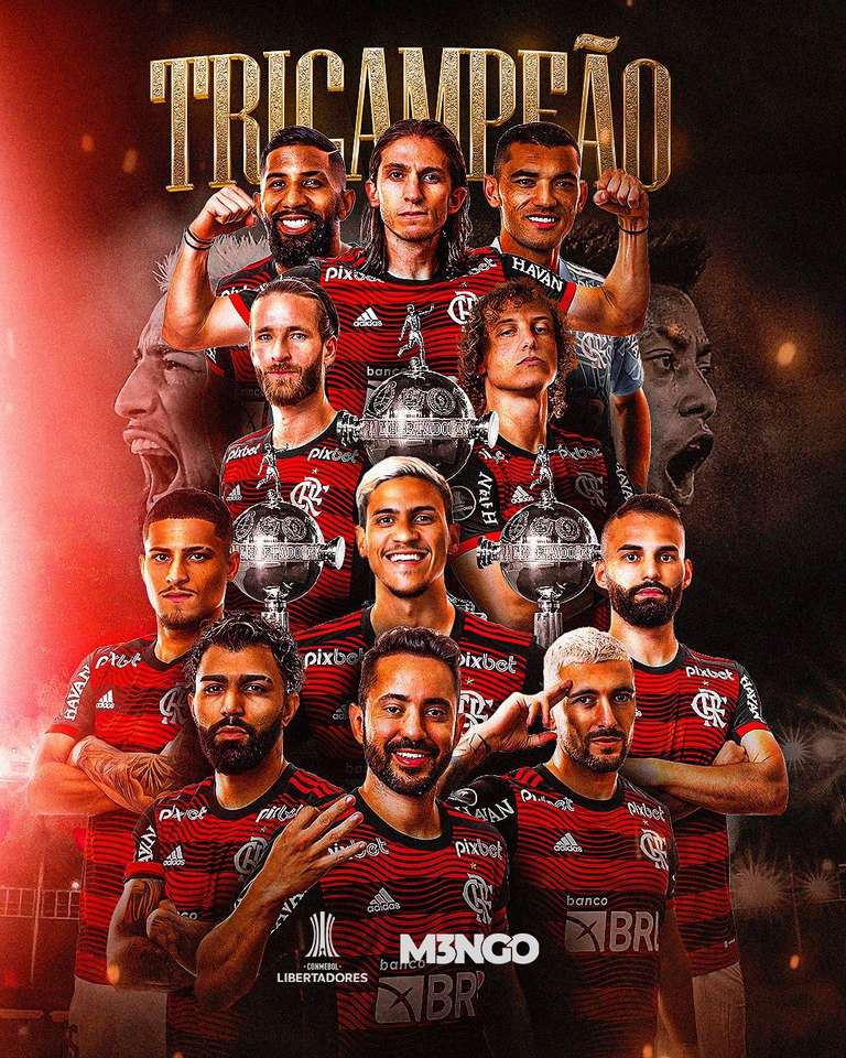 Flamengo puzzle online