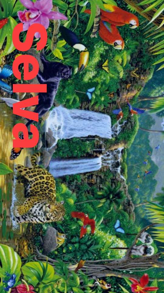 Dschungel-regina Puzzlespiel online