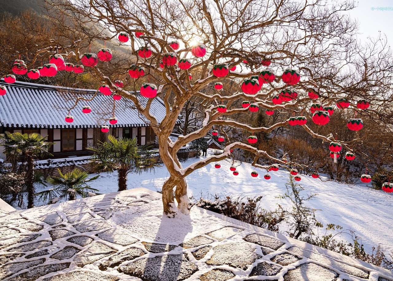 Фенери на дърво през зимата онлайн пъзел