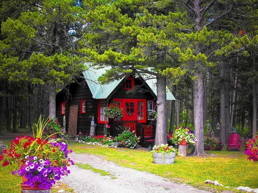 Красивый лесной домик, красивое место пазл онлайн