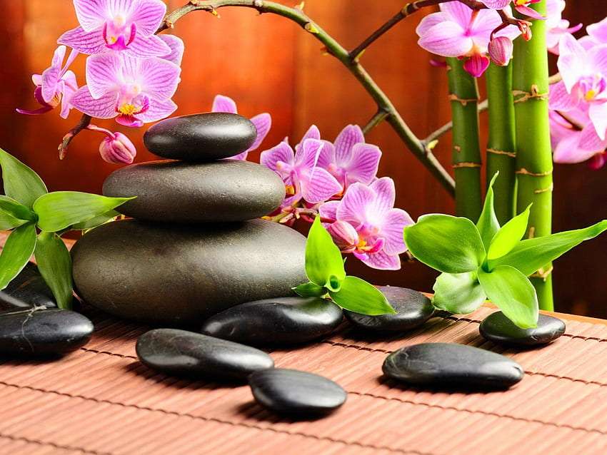 Beautiful composition, orchid among pebbles and bamboo online puzzle