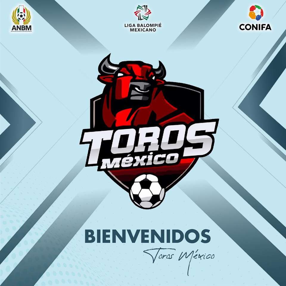 Bulls México quebra-cabeças online
