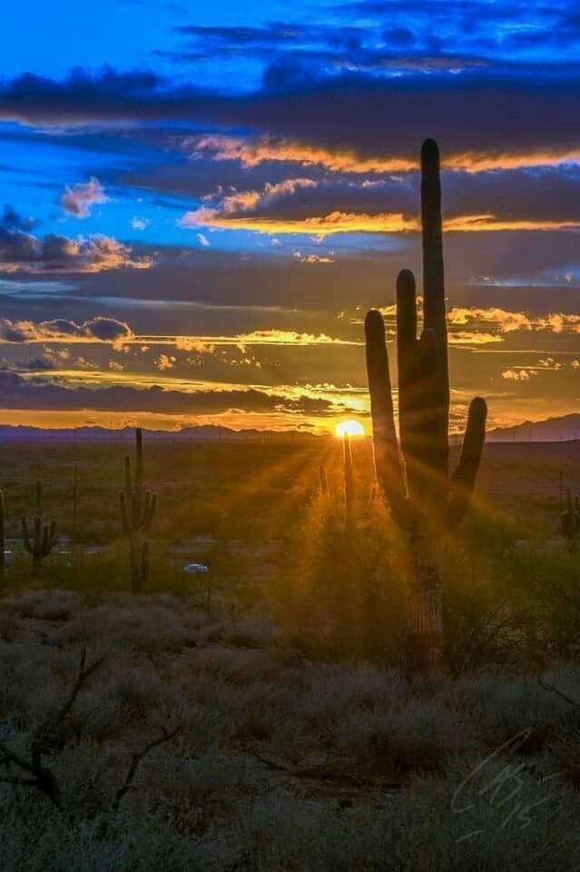 Захід сонця в пустелі пазл онлайн
