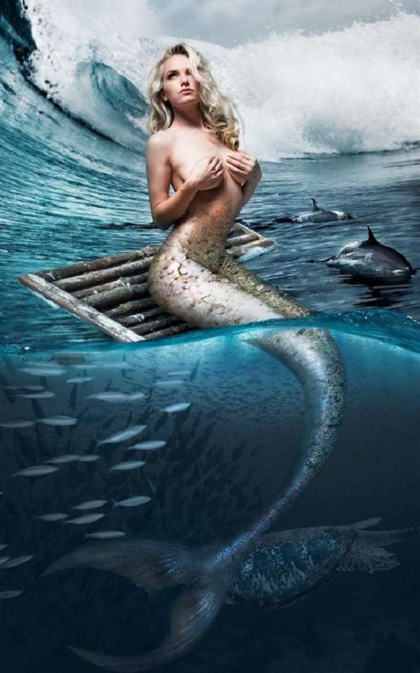 mermaid and dolphins jigsaw puzzle online