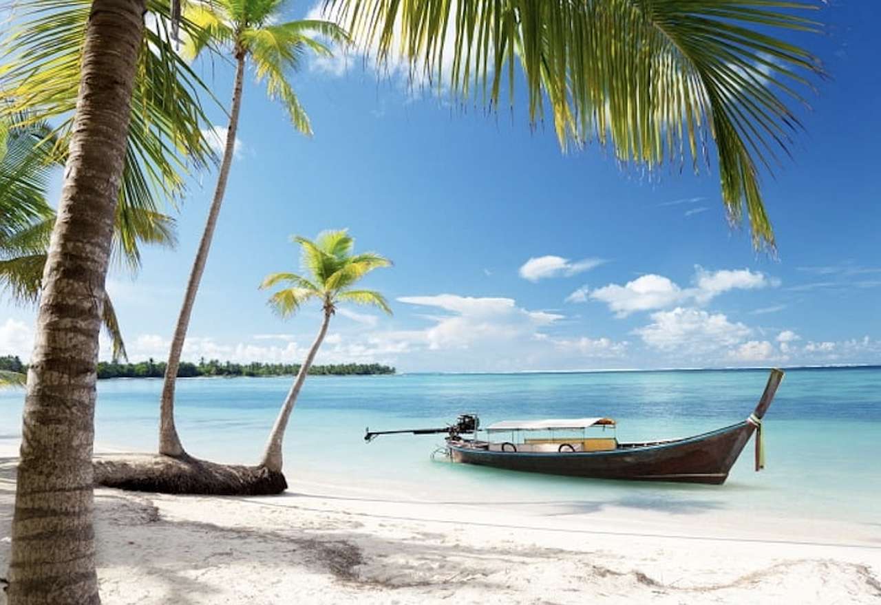 Playa tropical y pequeña palmera, hermosa vista rompecabezas en línea