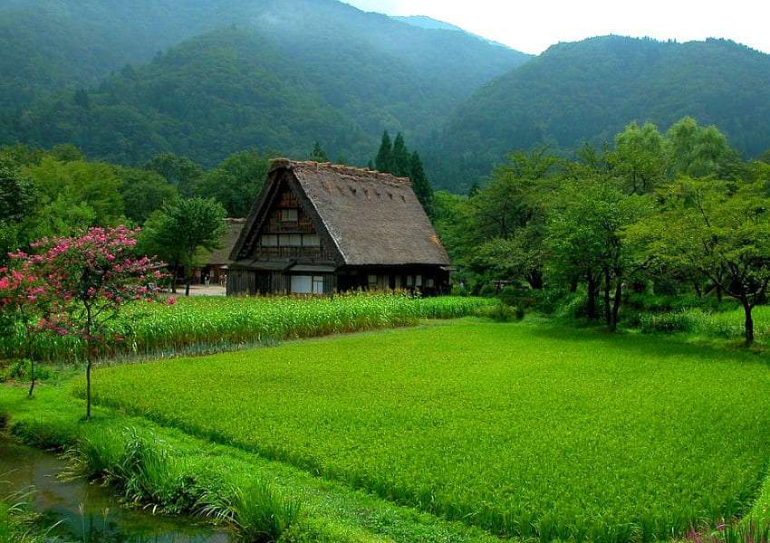 Ein charmantes Häuschen zwischen grünen Feldern und Bergen, eine wunderbare Aussicht Puzzlespiel online
