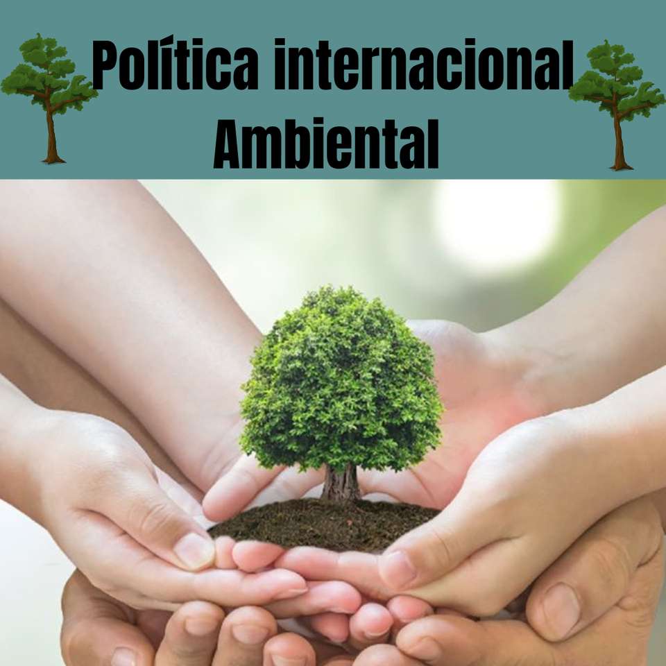 Politique environnementale internationale puzzle en ligne