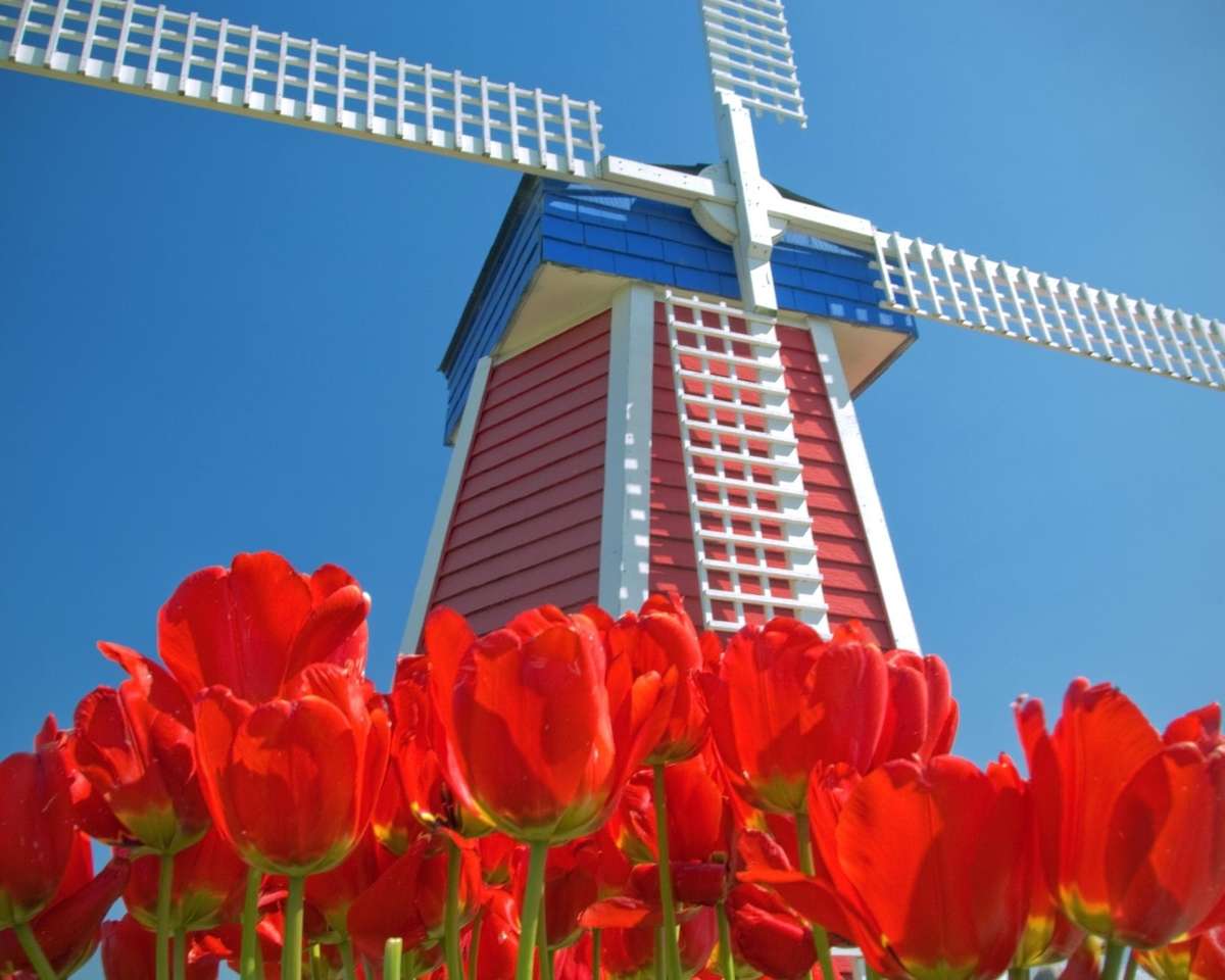 Холандска вятърна мелница онлайн пъзел
