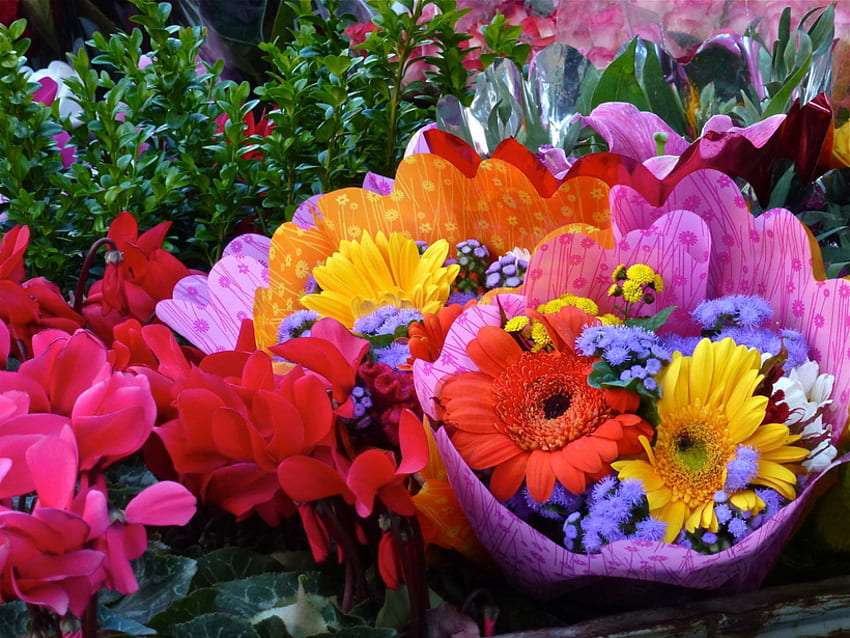 Barevná kytice mezi květinami, zázrak skládačky online