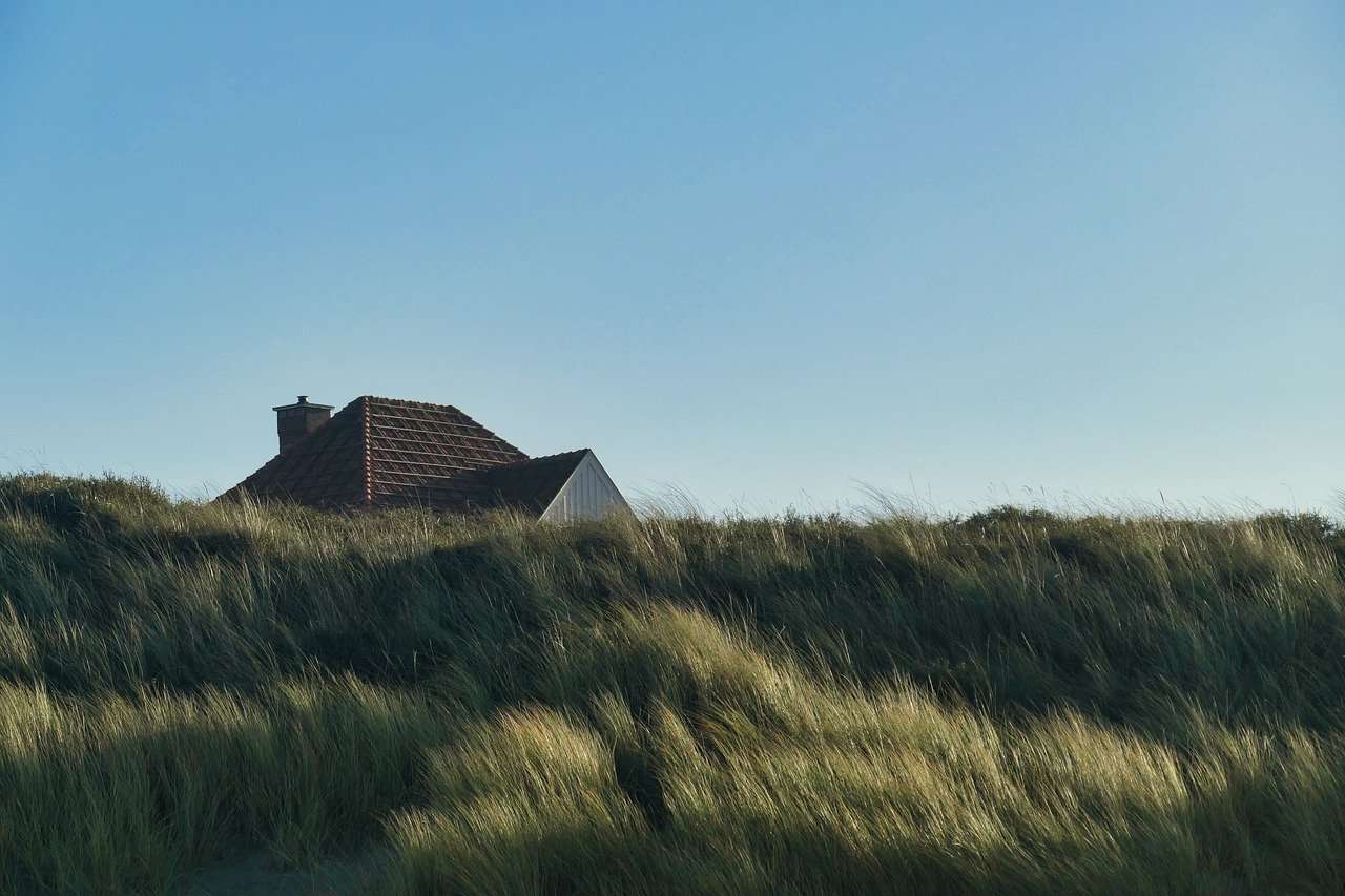 Dunes North Sea jigsaw puzzle online