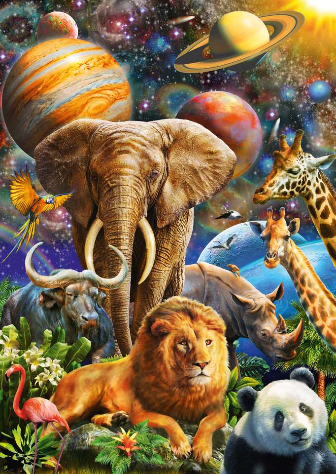 Een prachtig universum met dieren online puzzel