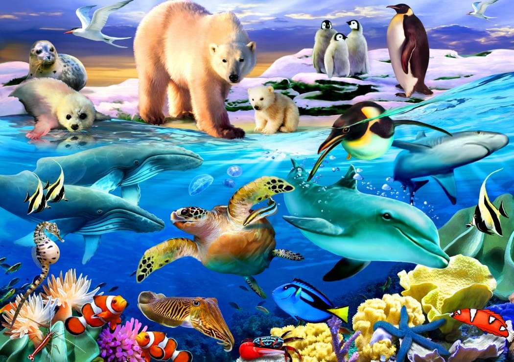 Oceánští živočichové online puzzle