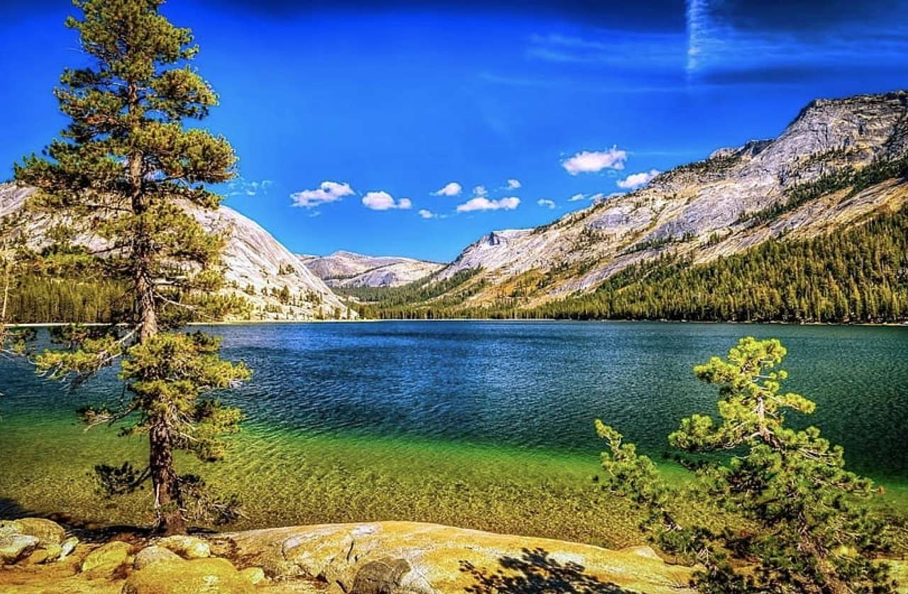 Small Christmas trees by a big mountain lake in summer jigsaw puzzle online