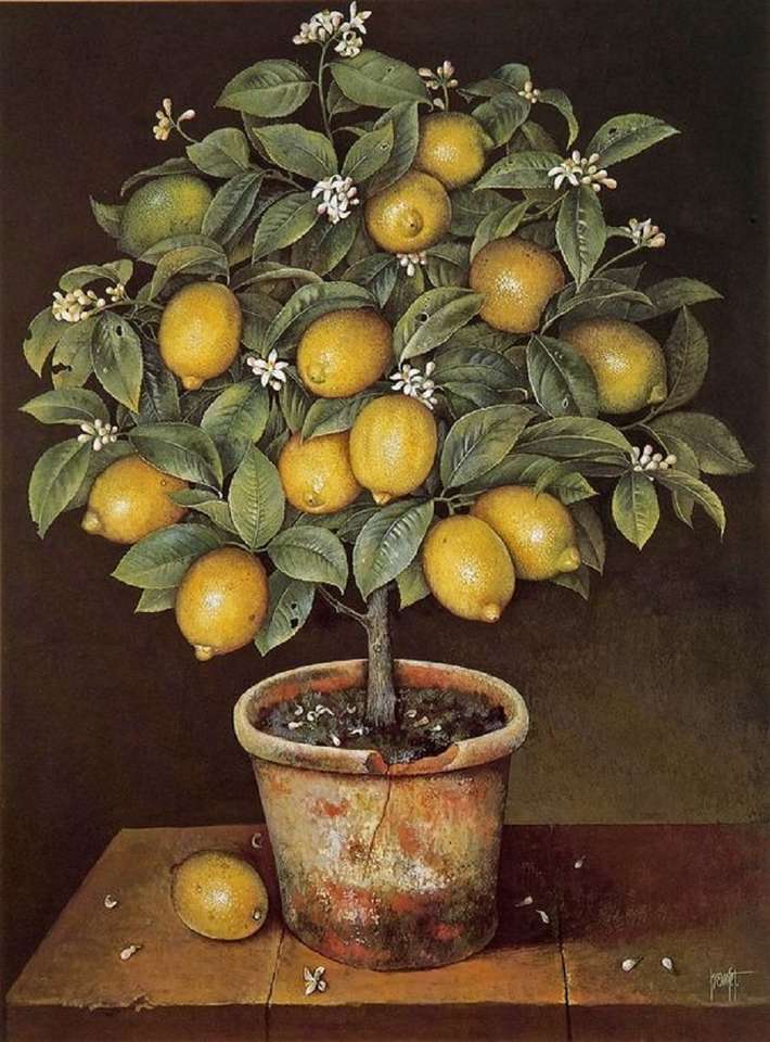 a small lemon tree jigsaw puzzle online