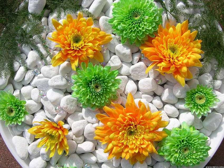 Uma composição de jardim charmosa e bonita quebra-cabeças online