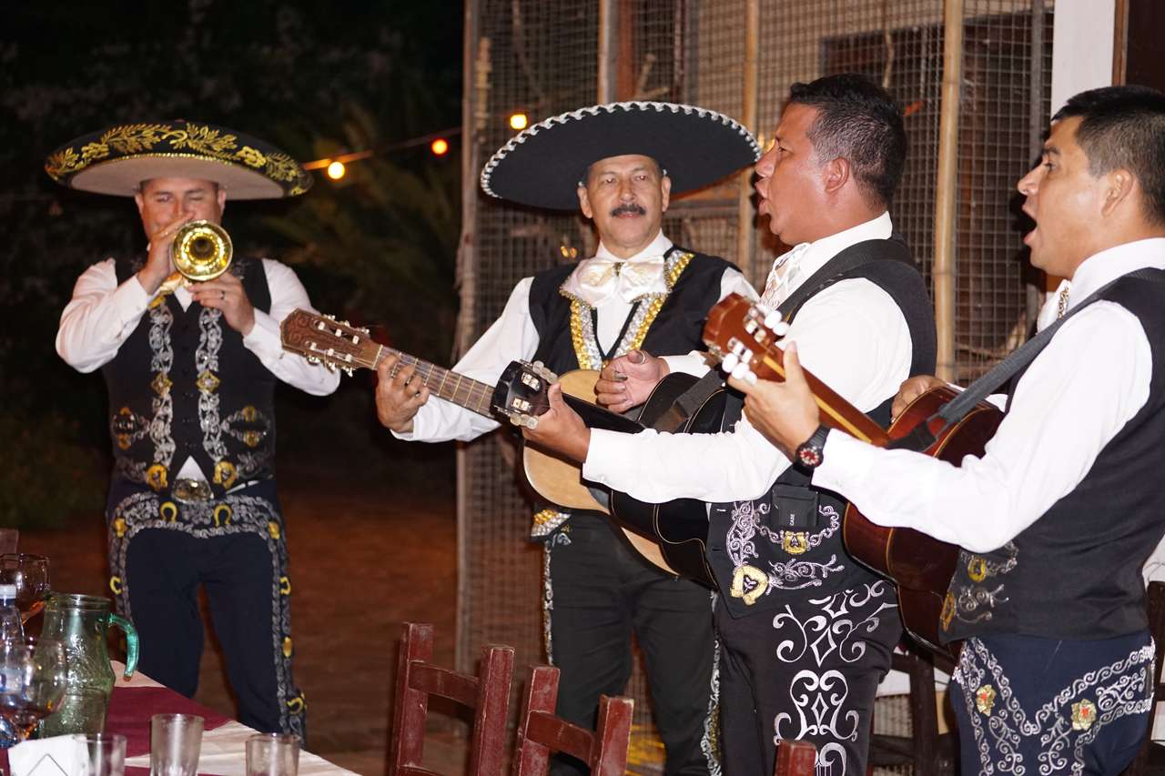 Mariachi la Hotel Paraiso, Paraguay, Muzică puzzle online