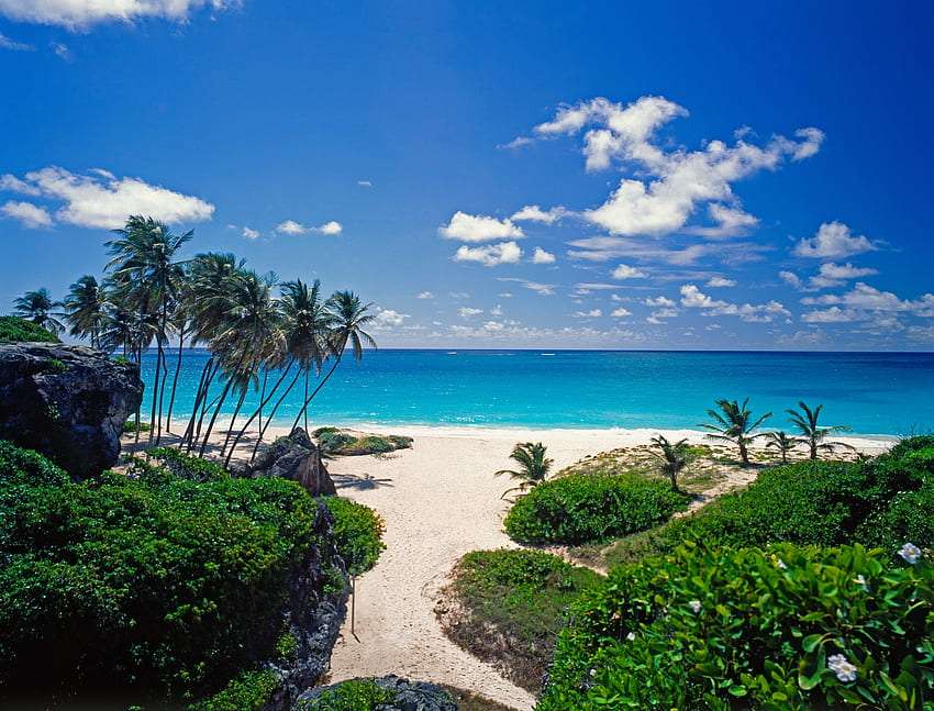 Beautiful green beach by the ocean jigsaw puzzle online