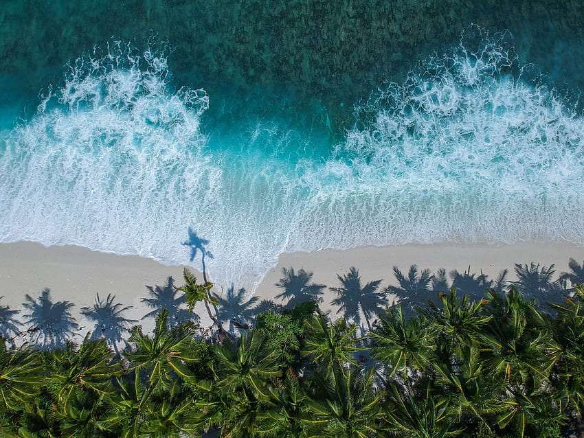 Вид с воздуха - пальмы и бушующая волна онлайн-пазл