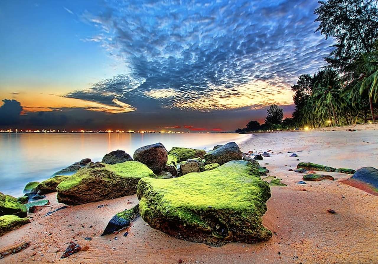 Rochas cobertas de musgo à beira-mar, que visão puzzle online