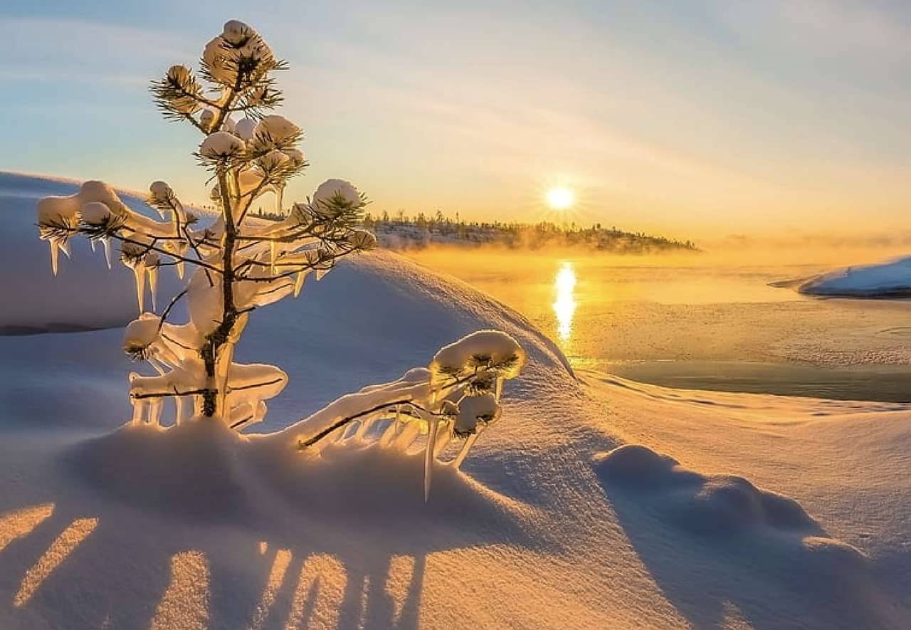 Die gure winterzon, wat een uitzicht, prachtig online puzzel