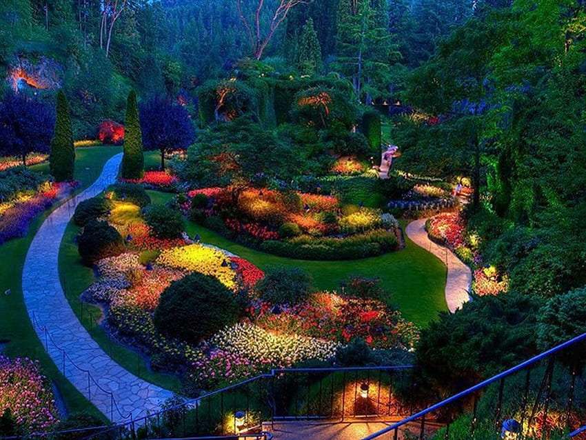 O orgulho de um jardineiro à noite, algo lindo quebra-cabeças online
