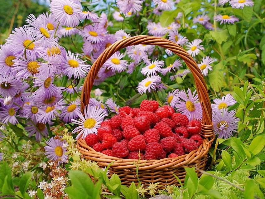 Deliciosas framboesas do jardim entre flores puzzle online