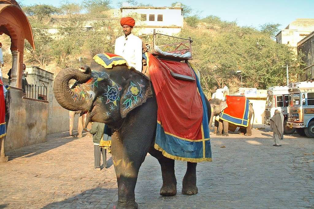 Elefant în India jigsaw puzzle online