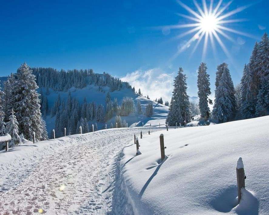Camino cubierto de nieve en un día soleado rompecabezas en línea