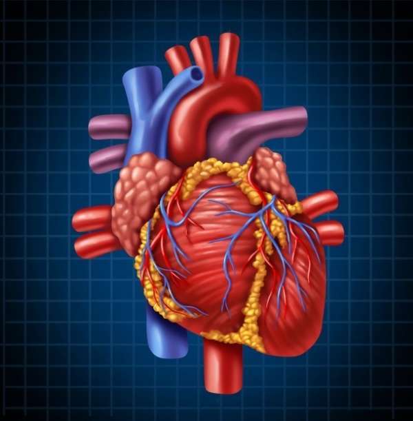 Corazón rompecabezas en línea