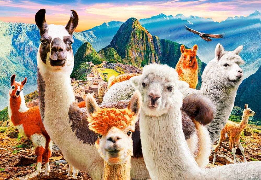 Uma grande família Llama, uma visão encantadora quebra-cabeças online