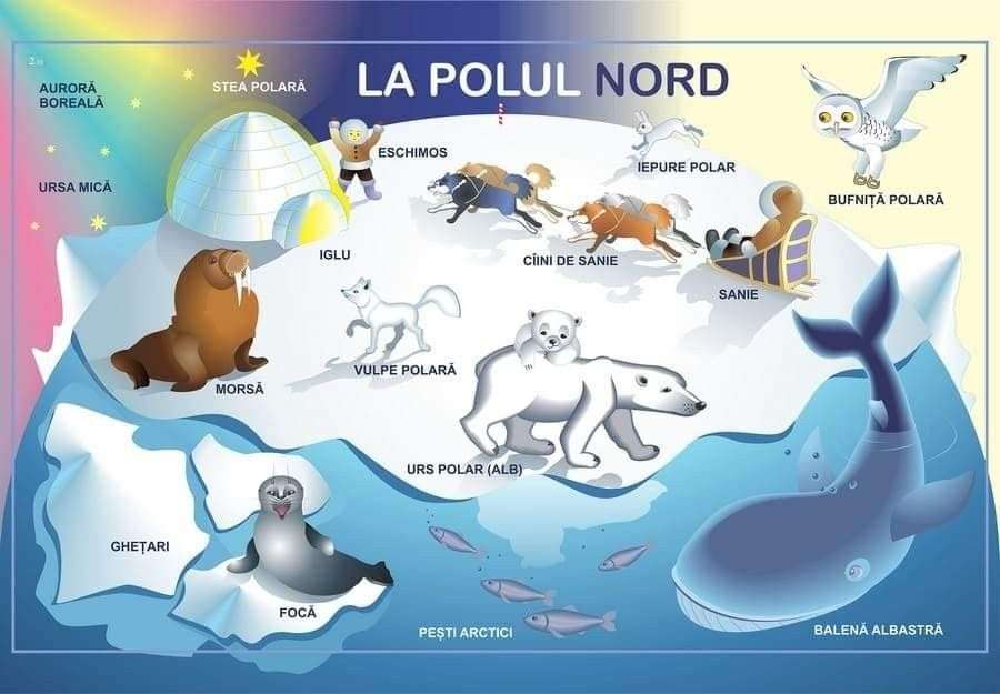 Au Pôle Nord puzzle en ligne