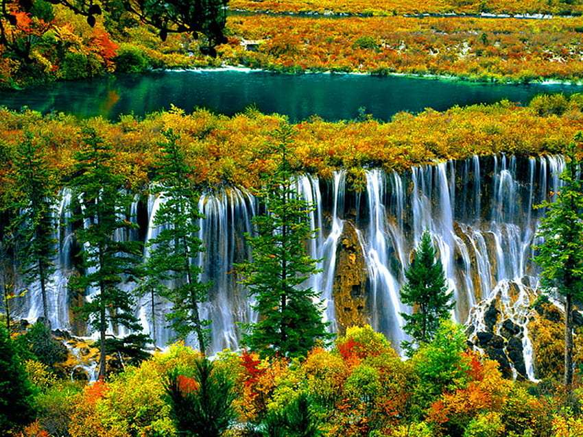 Китайско-есенна красота на природния резерват онлайн пъзел