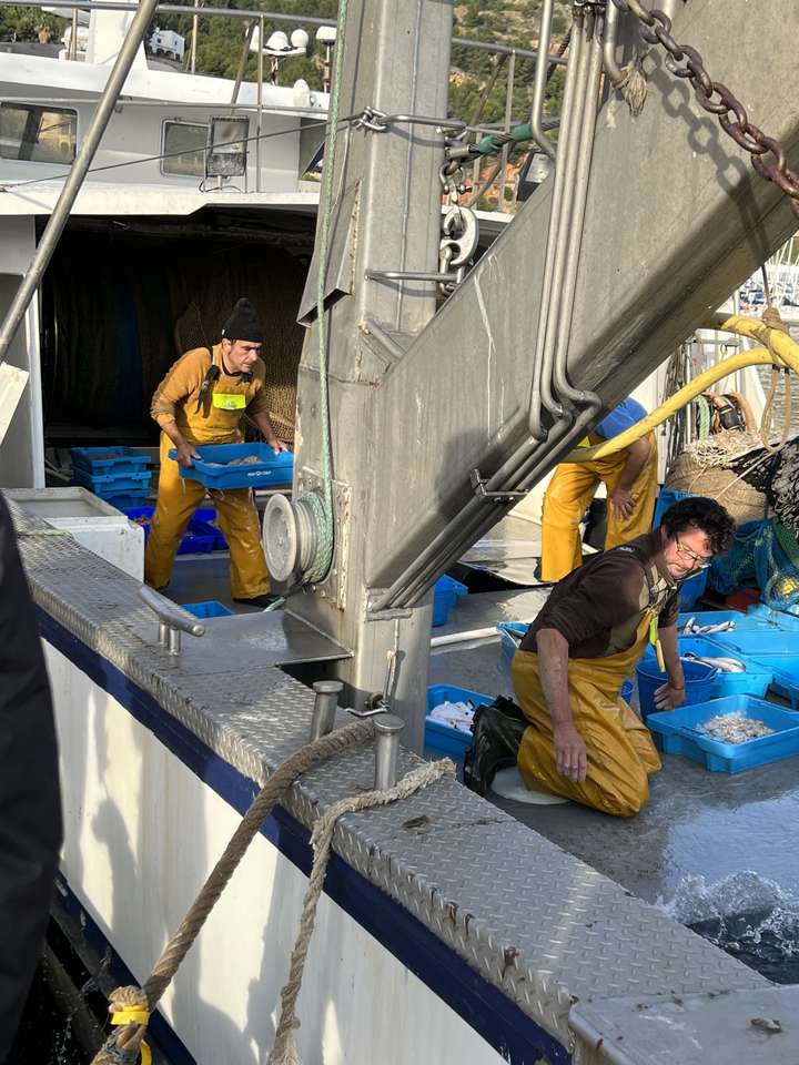 Trayendo de vuelta la captura, Javea rompecabezas en línea