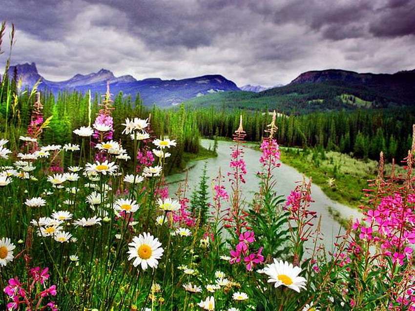 Un río de montaña decorado con hermosas flores. rompecabezas en línea