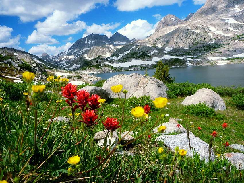 Tavasz a hegyekben, gyönyörű kilátás online puzzle