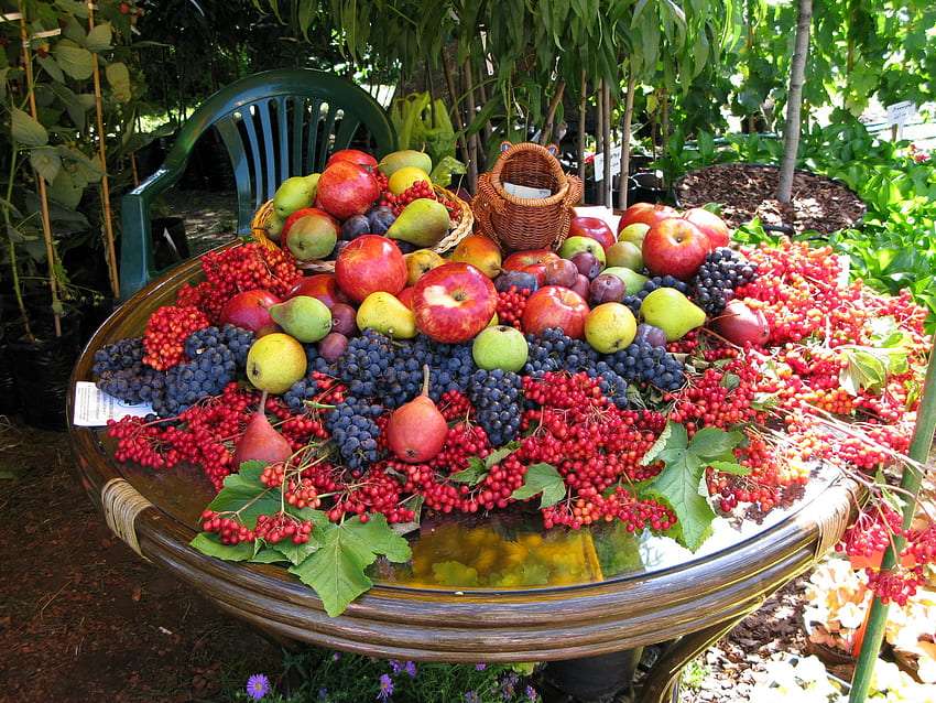 Καλλιέργειες κήπου, φρέσκα φρούτα παζλ online