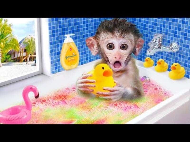 Милая маленькая обезьянка Биби #391 пазл онлайн