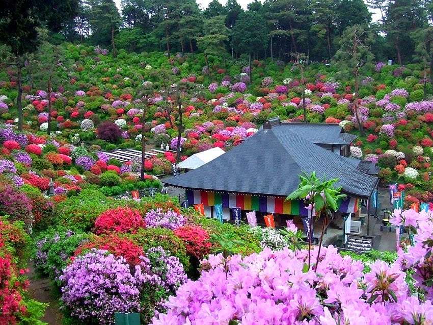 Un ravissant jardin japonais puzzle en ligne