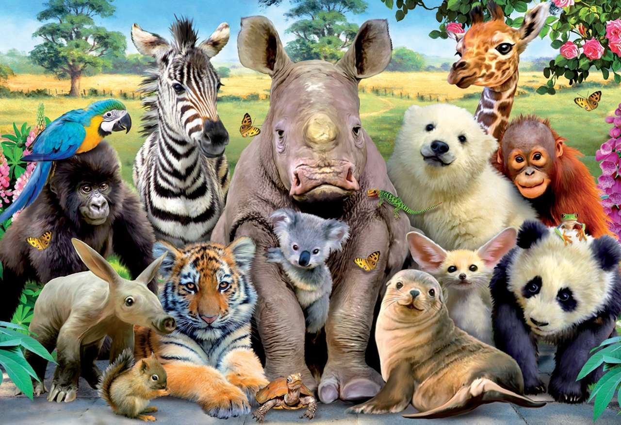 ANIMALE JUNGLE jigsaw puzzle online