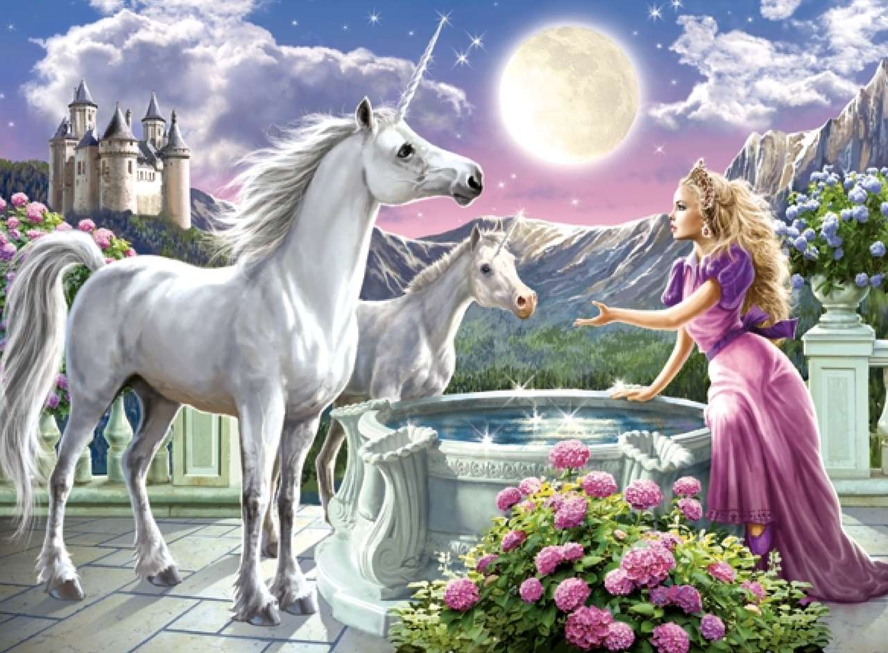 Unicorn friends of the princess online puzzle