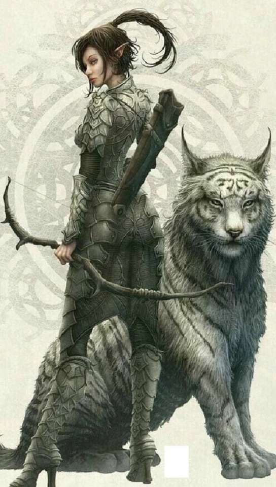 elven warrior and cat jigsaw puzzle online