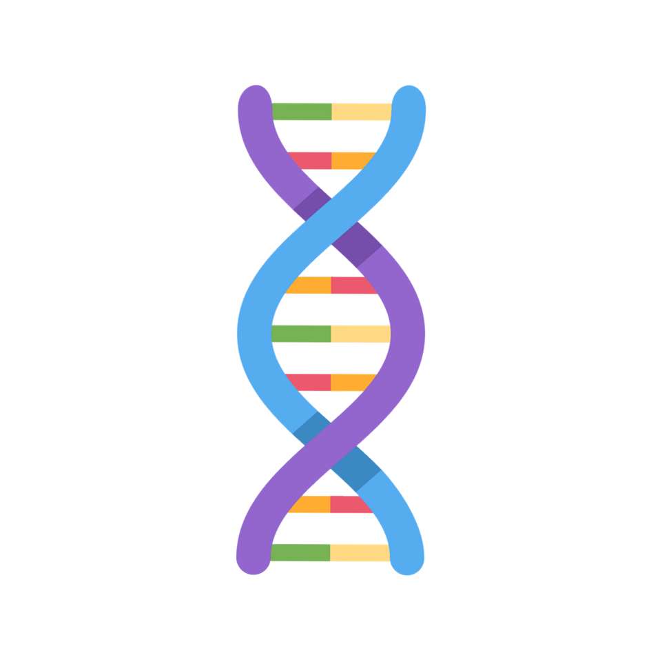 DNA_EBDV2023 online puzzle