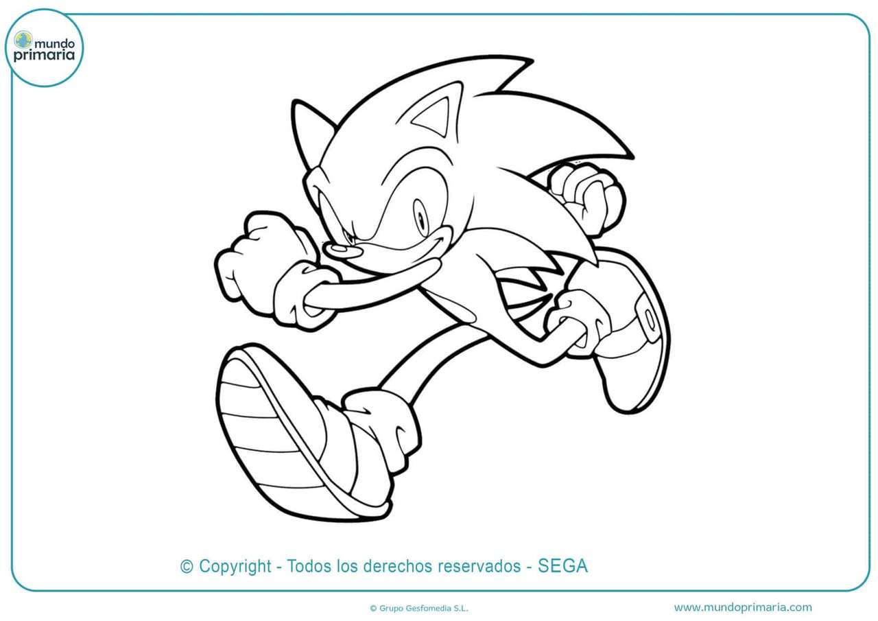 SONIC TO COLOR online puzzle