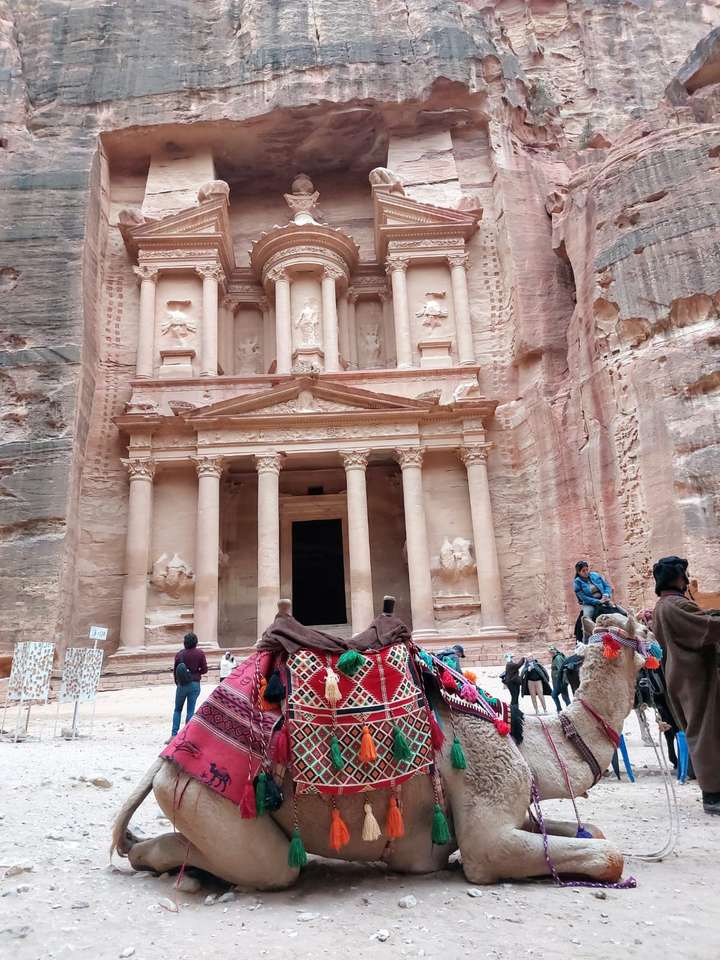 Camello en Jordania rompecabezas en línea